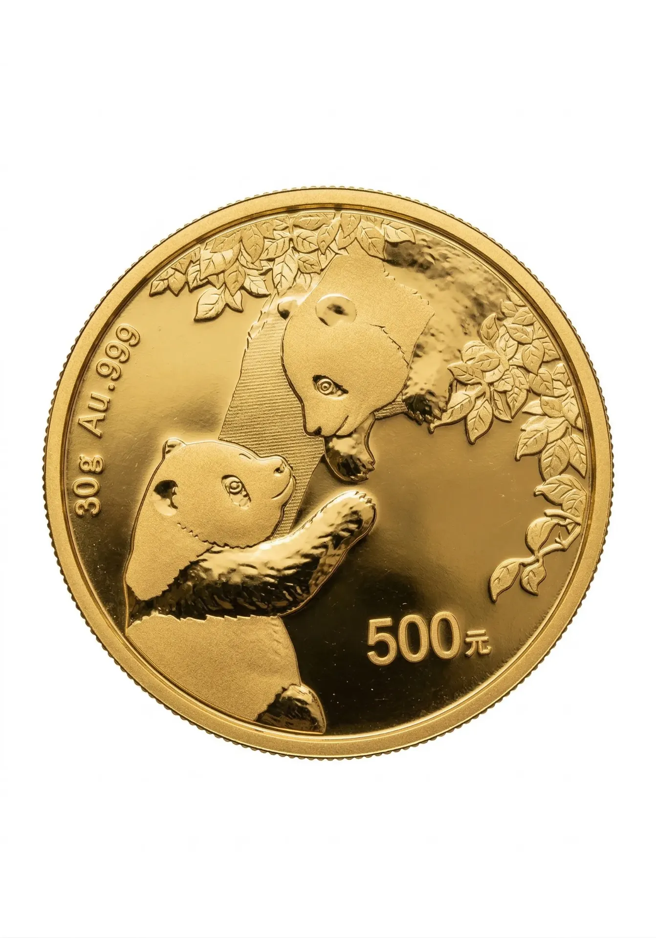 Guldmynt 30g Panda