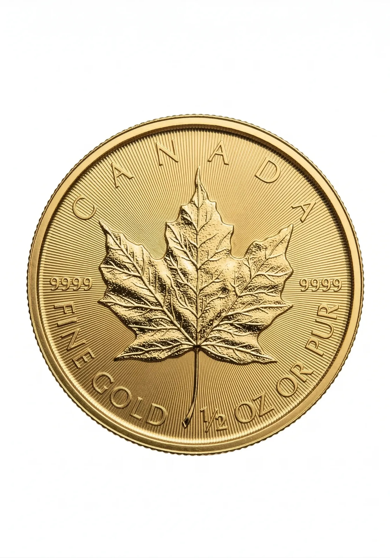 Guldmynt 1/2oz Maple Leaf