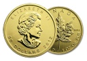 Kultakolikko 1oz Maple Leaf